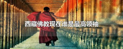 ​西藏佛教现在谁是最高领袖
