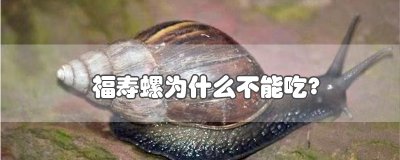 ​福寿螺为什么不能吃?