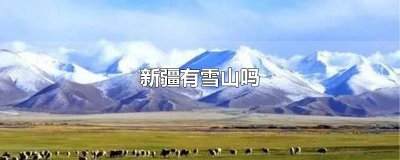 ​新疆有雪山吗