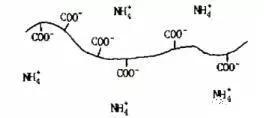 非欠合型增稠剂的作用（一文看懂卡波姆）(3)