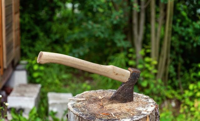 吴刚伐桂的神话故事(吴刚伐桂的神话故事儿童画) 吴刚伐桂 第5张