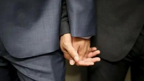 homo无处不在什么梗