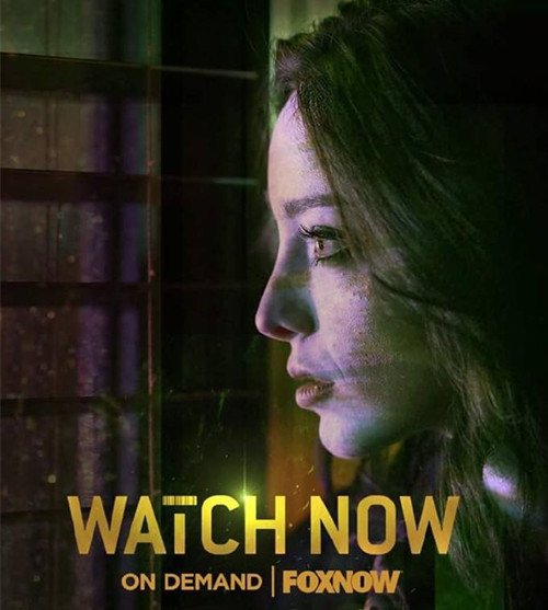 天赋异禀2多久更新一集