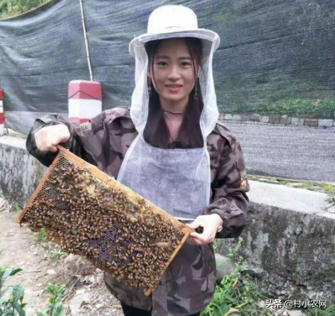 假设有5万元投资或创业,怎样理财使这5万元钱更多的赚钱,更快的升值?