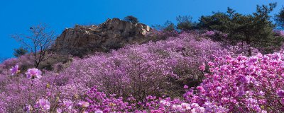 ​药王谷在哪里 药王谷在什么地方