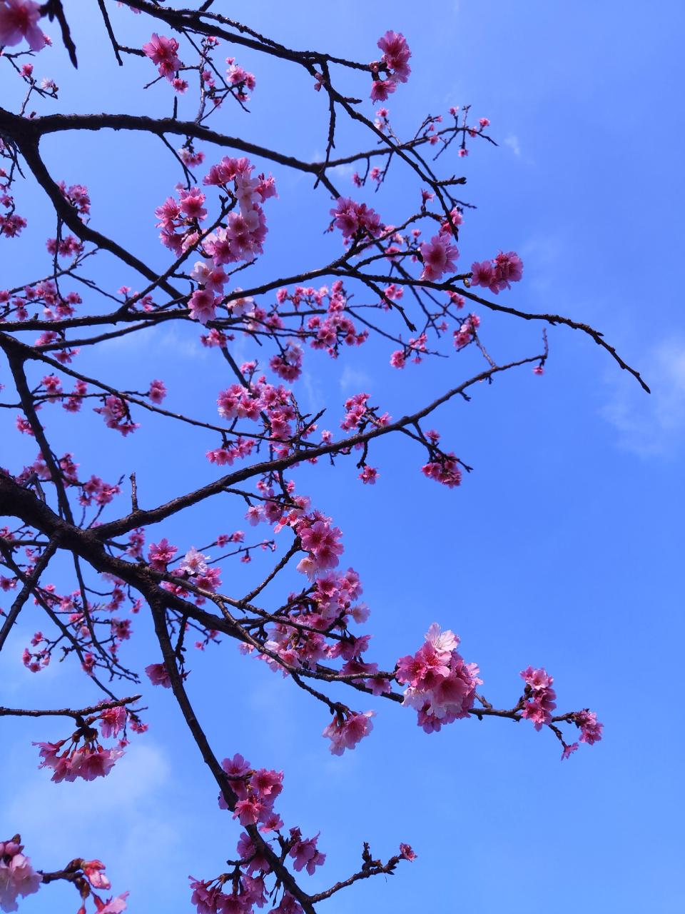 六年级简便运算100道带答案&nbsp;六年级简便计算题