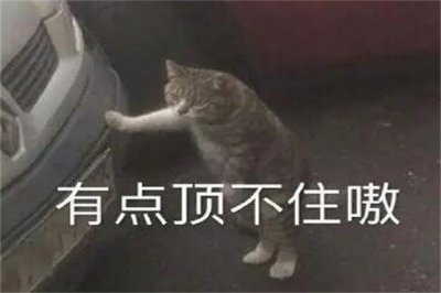 ​有点顶是什么梗?有点难度(出自《功夫足球》)