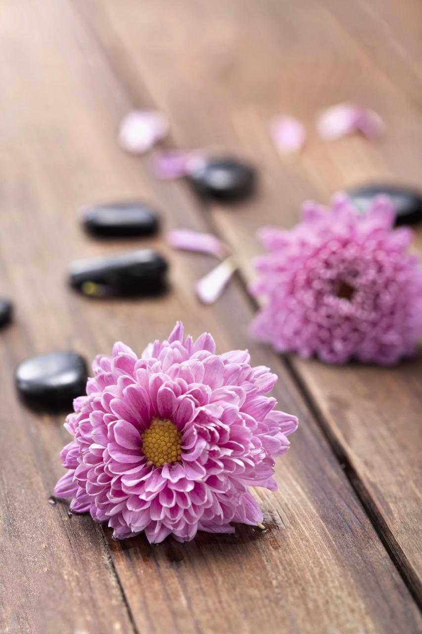 家中有一物阴气全消除&nbsp;怎么防止别人吸你运气