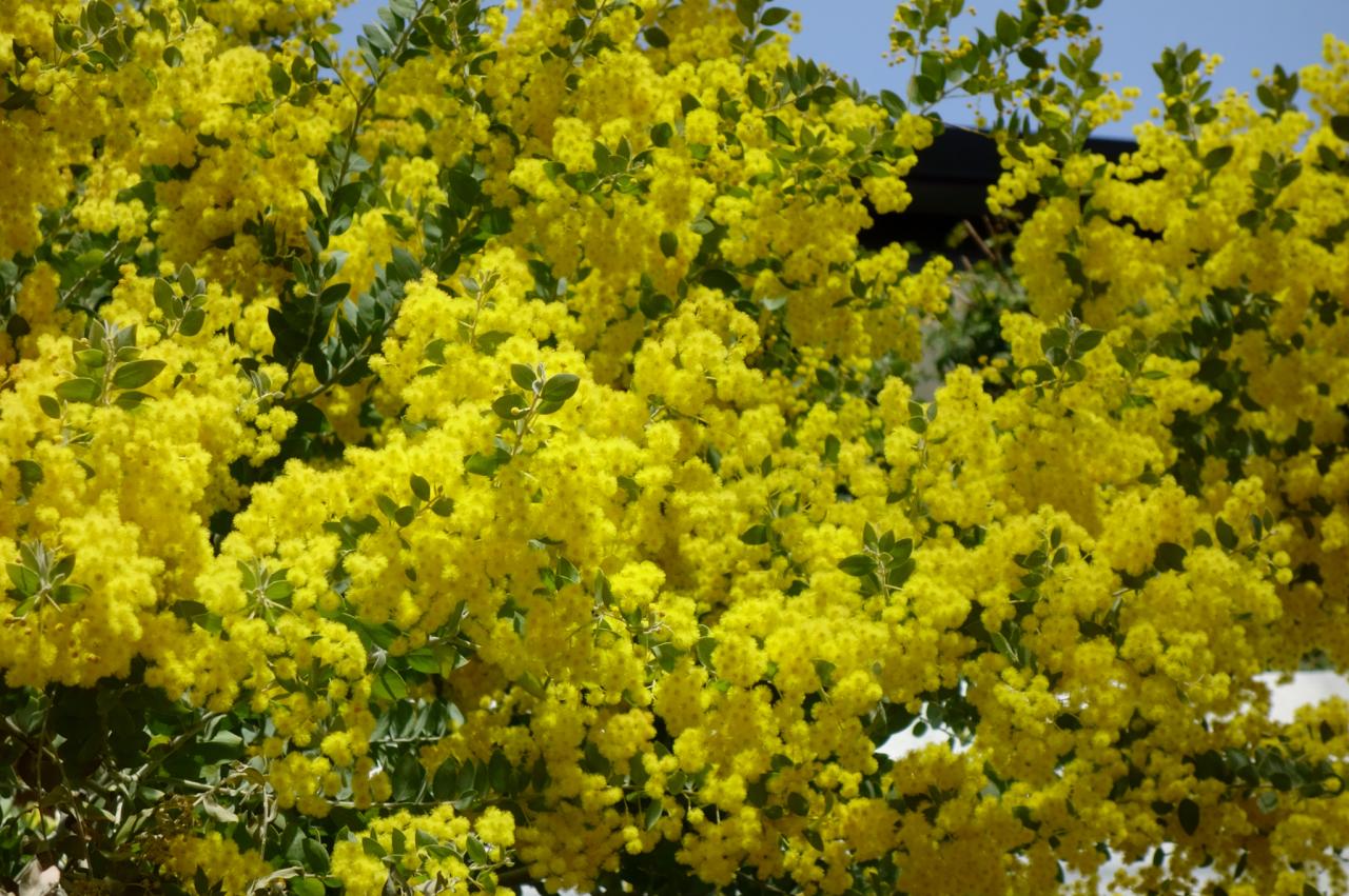 桃花源记被删除的一段 桃花源记原文
