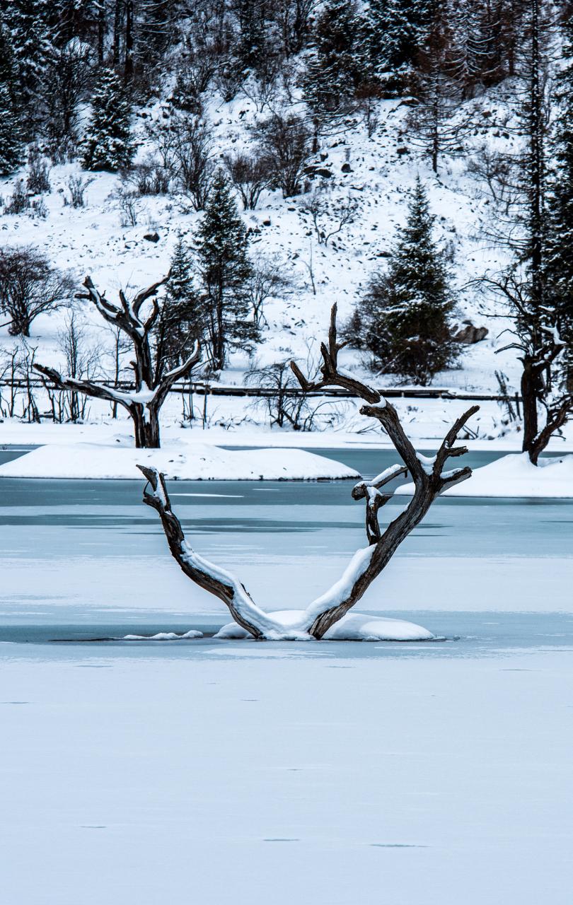 如何看懂自己的八字 生辰八字详细分析
