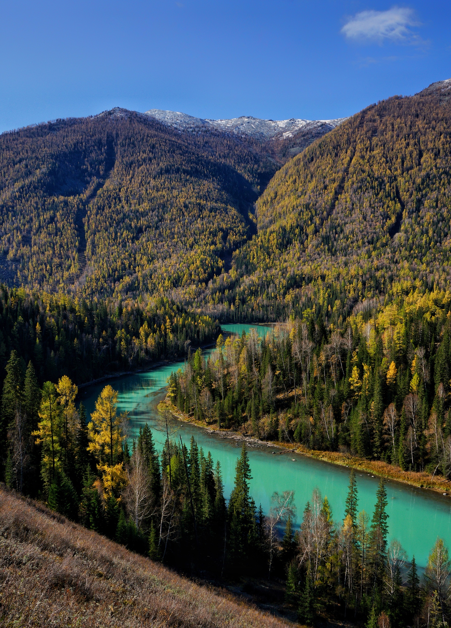二元店需要投资多少钱 二元店投资需要多少钱