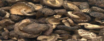 ​干香菇泡了两天还能吃吗