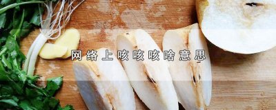 ​网络上咳咳咳啥意思