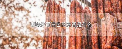 ​香肠外面白色的东西是什么
