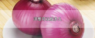 ​洋葱可以放多久