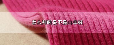 ​怎么判断是不是山羊绒