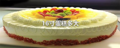 ​16寸蛋糕多大