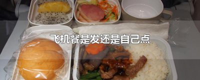 ​飞机餐是发还是自己点