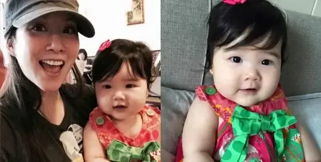 许慧欣的个人经历介绍（许慧欣的个人资料简介）