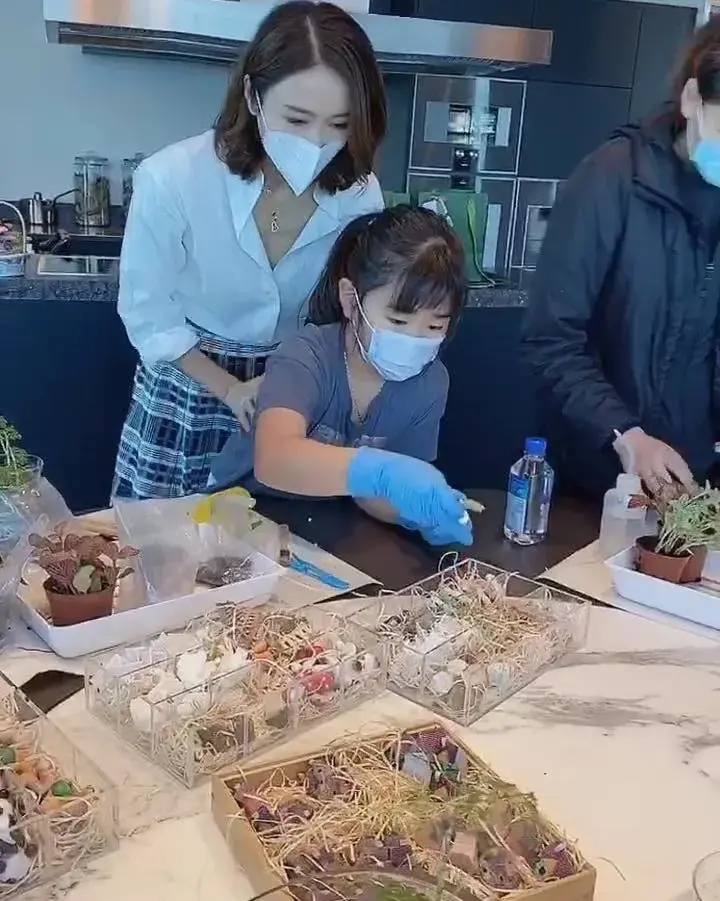 许慧欣的个人经历介绍（许慧欣的个人资料简介）