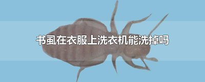 ​书虱在衣服上洗衣机能洗掉吗