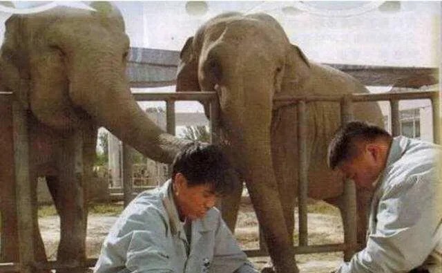 孙越为什么没有字号（孙越在德云社为什么没辈分）