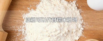 ​淀粉可以代替糯米粉吗