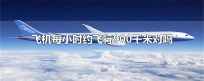 ​飞机每小时约飞行900千米对吗