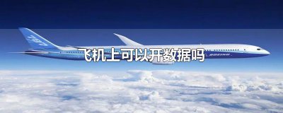 ​飞机上可以开数据吗