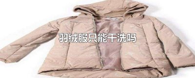 ​羽绒服只能干洗吗