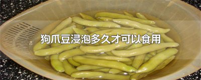​狗爪豆浸泡多久才可以食用