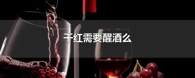 ​干红需要醒酒么