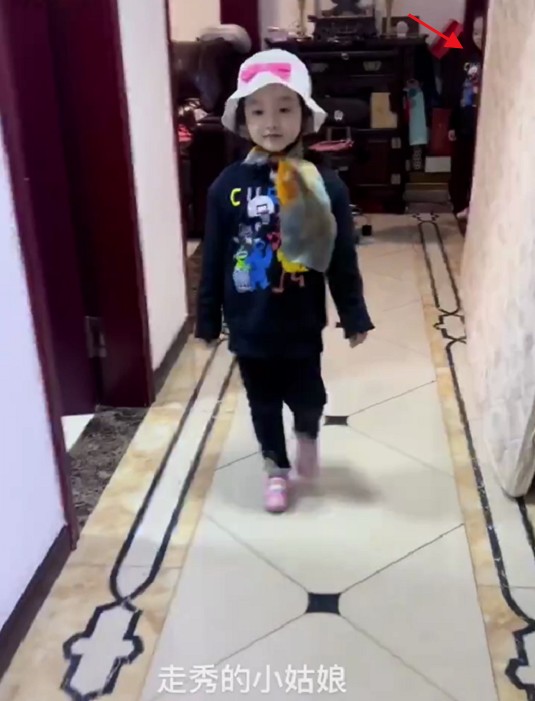 杨威夫妇带5岁双胞胎女儿骑行(女儿颜值逆袭自信有范儿）