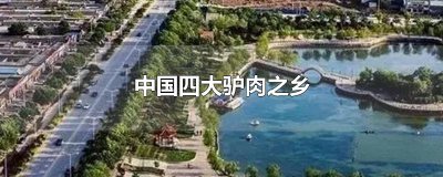 ​中国四大驴肉之乡