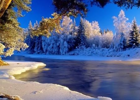 刘宪华是中国人吗（刘宪华被韩国网友骂“滚出韩国”）