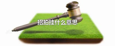 ​招拍挂什么意思