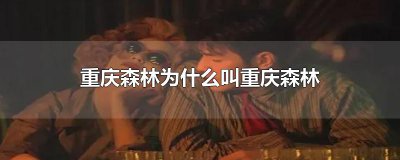​重庆森林为什么叫重庆森林