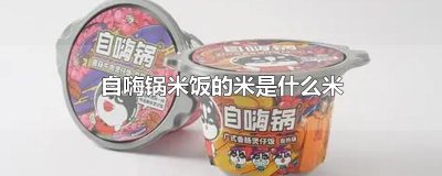 ​自嗨锅米饭的米是什么米