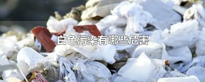 ​白色污染有哪些危害