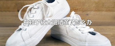 ​白鞋子被太阳晒黄了怎么办