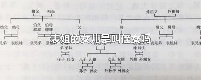 ​表姐的女儿是叫侄女吗