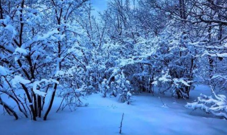 裸模照片大全（90后人大才女不顾批评做裸模）