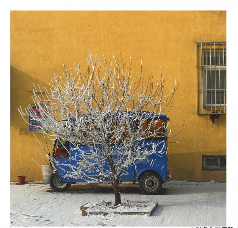 关于雪的歌（用雪之名来表达爱情很浪漫）