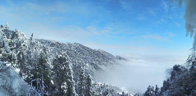 关于雪的歌（用雪之名来表达爱情很浪漫）