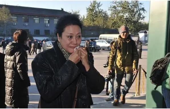 王丽云现任老公白云迪吗（王丽云婚史和女儿车晓太像了)