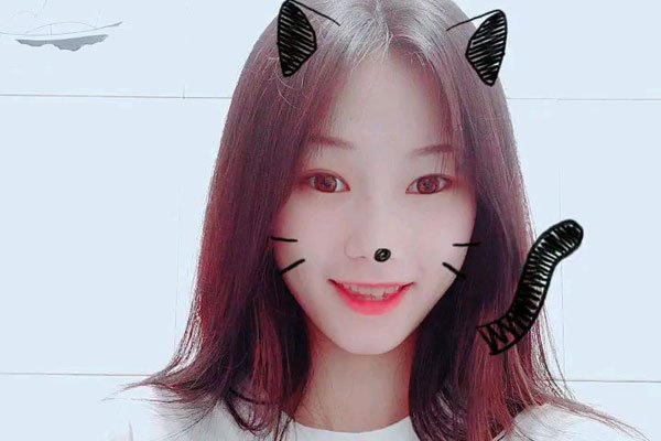 蜜蜂少女队所有成员 到底是有什么特色呢