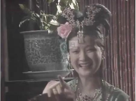 何晴个人资料简介(51岁患癌被二婚老公宠上天)(5)