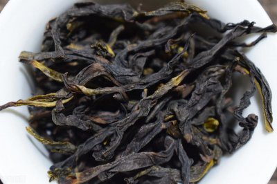 ​单丛茶是什么茶类（凤凰单丛是特定品种的茶吗）