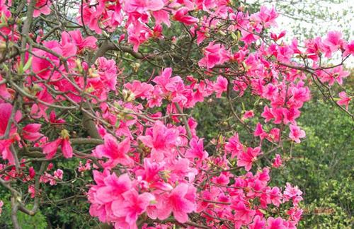 敬亭山在哪里个地方(诗仙李白诗中的敬亭山景点介绍)插图5 敬亭山在哪里个地方(诗仙李白诗中的敬亭山景点介绍)插图5