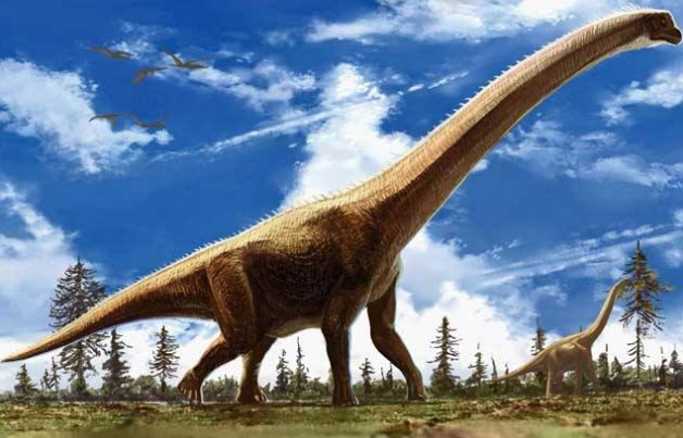 最大的恐龙是什么恐龙（史上最大恐龙排行榜公布）